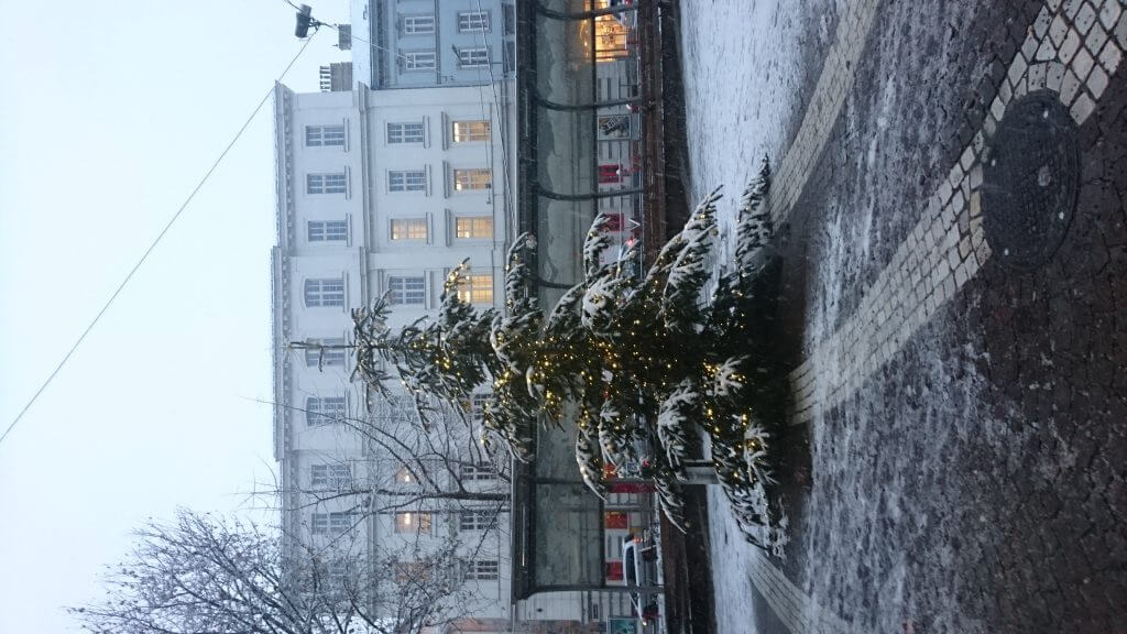 Christmas tree with snow