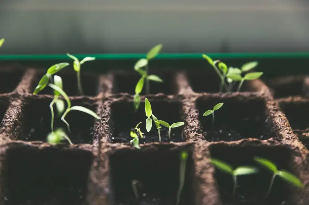 You are currently viewing Unlock Your Potential: 3 Self-Investment Strategies That Make You More Than The Stock Market